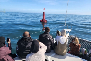 Kaapstad: V&A Waterfront Gin Voyage Cruise