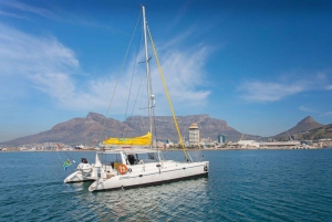 Kaapstad: V&A Waterfront Gin Voyage Cruise