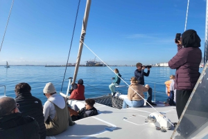 Kaapstad: V&A Waterfront Gin Voyage Cruise