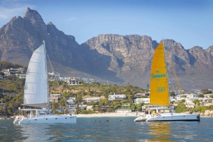 Kaapstad: V&A Waterfront Gin Voyage Cruise