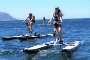 Ciudad del Cabo: Excursión en bicicleta acuática