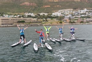 Città del Capo: tour in bicicletta sull'acqua