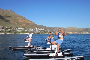 Cape Town: Water Biking Tour