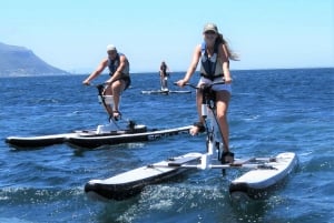 Cape Town: Water Biking Tour