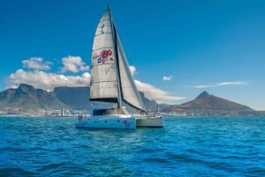 Cape Town Waterfront and Bay: Sailing Trip
