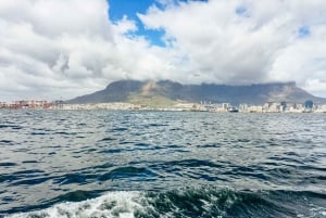 Kapstaden: Champagnekryssning vid vattnet och solnedgången