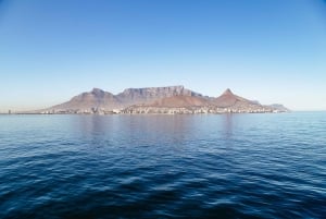 Kaapstad: Waterkant en champagne cruise bij zonsondergang