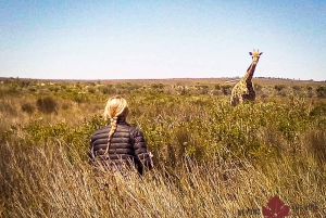 Città del Capo: Safari sulla costa occidentale ed esperienza culturale Khoi San