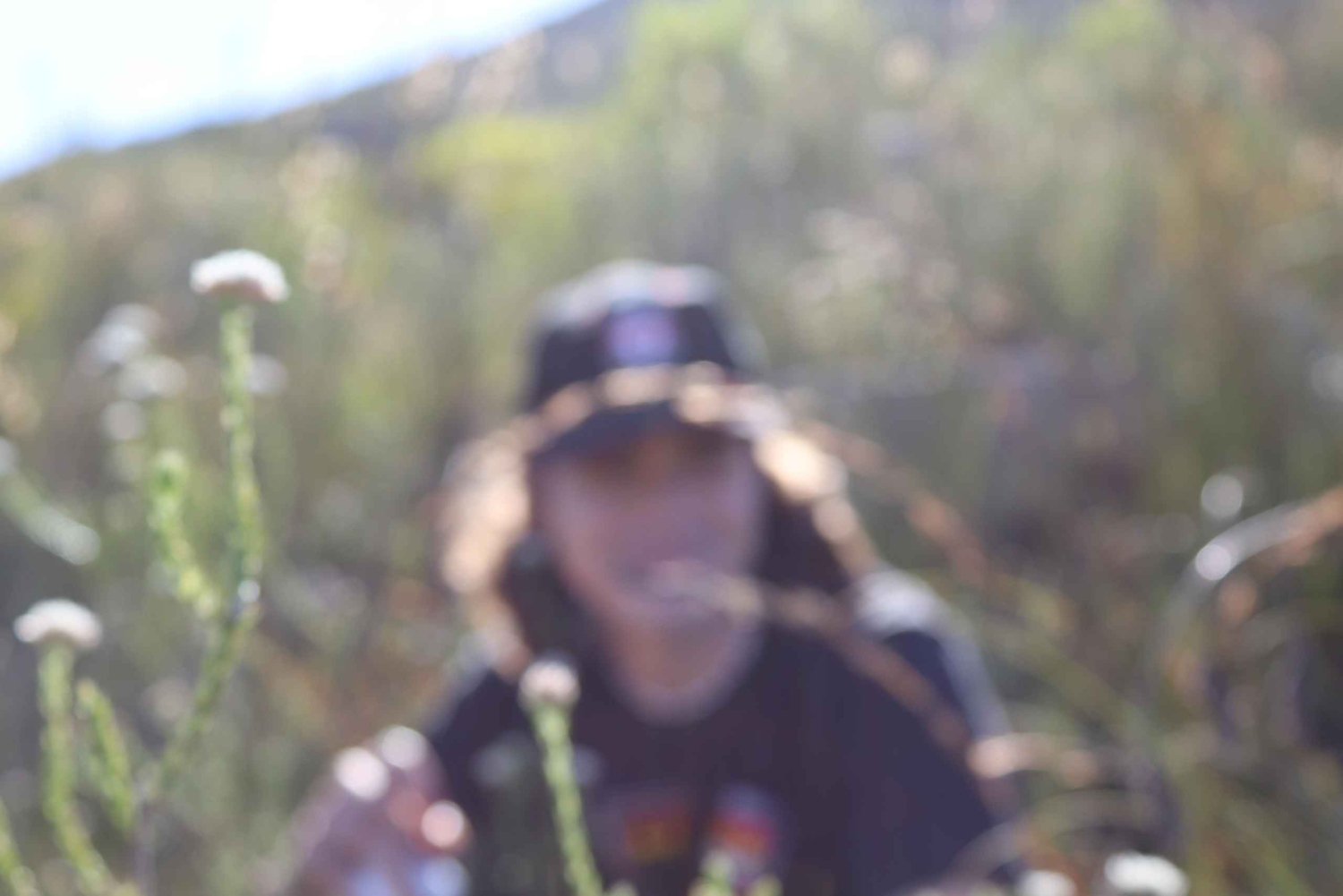 Cidade do Cabo: Excursão a pé pelos trilhos de flores silvestres