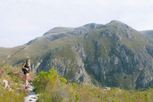 Cidade do Cabo: Excursão a pé pelos trilhos de flores silvestres