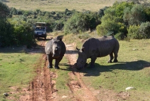 Cape Town: Wildlife Safari & Whale Coast 2-Day Private Tour