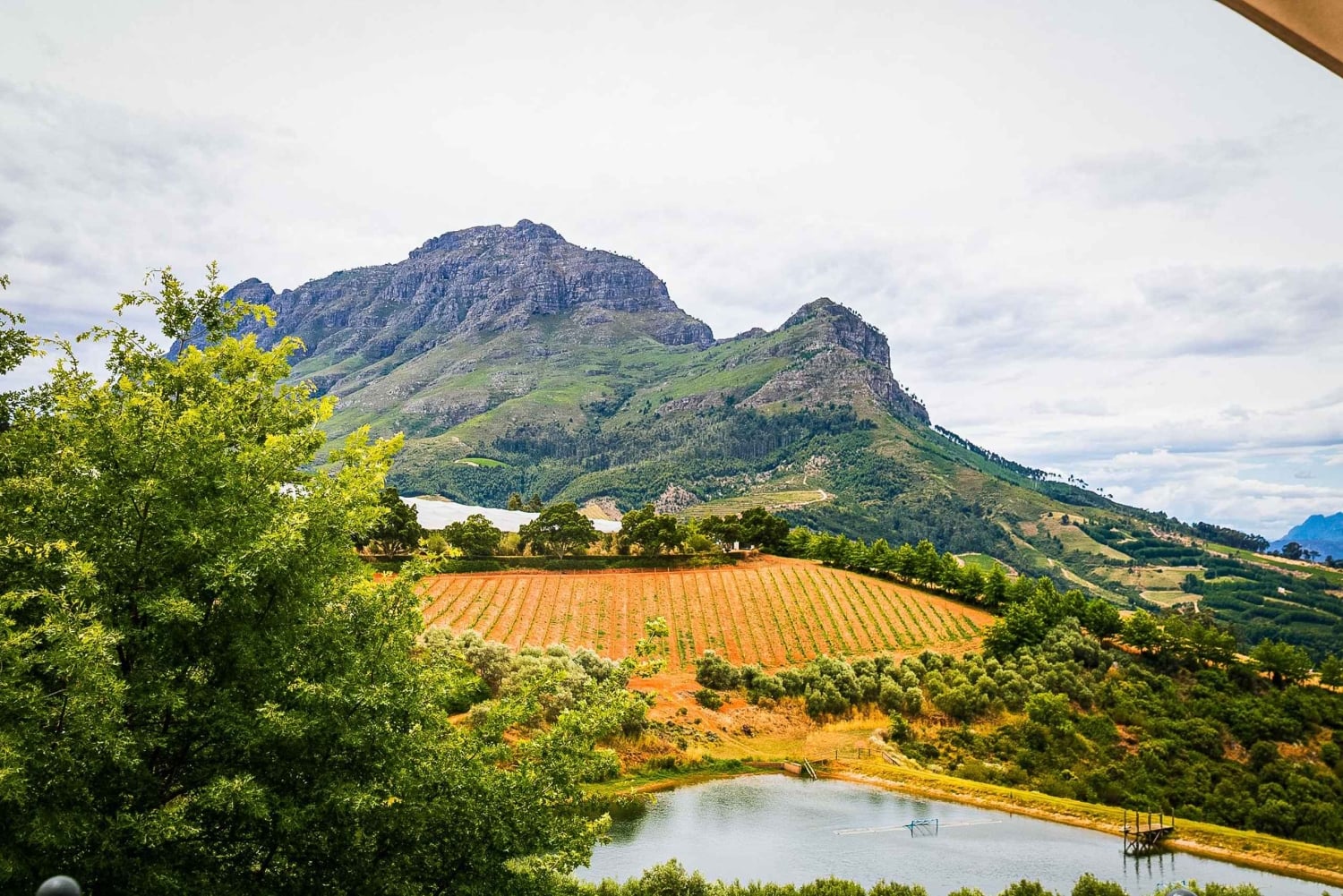 Kapstadt: Weinverkostung & Kirstenbosch Garden Experience