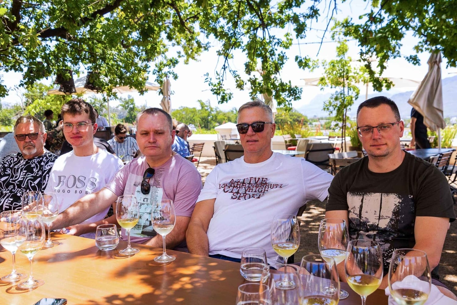 Kapstadt: Weinverkostung & Kirstenbosch Garden Experience