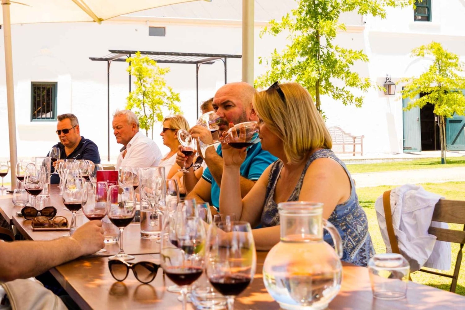 Kapstadt: Weinverkostung & Kirstenbosch Garden Experience