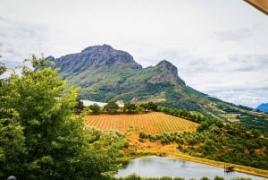 Kapstadt: Weinverkostung & Kirstenbosch Garden Experience