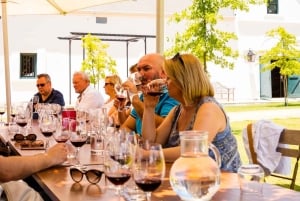 Kapstadt: Weinverkostung & Kirstenbosch Garden Experience