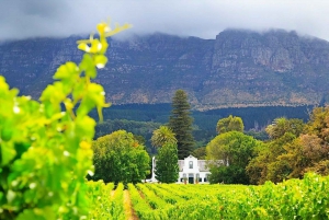 Tour de vinhos na Cidade do Cabo: Dia inteiro