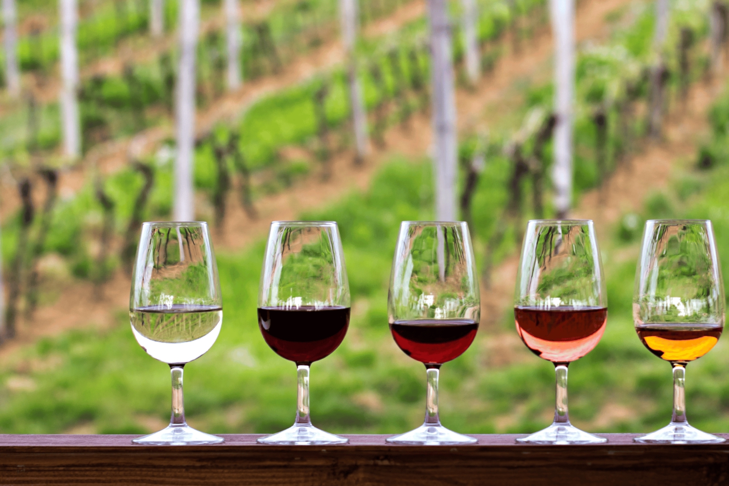 Kapstadt Wein-Tour (Paarl, Stellenbosch & Franschhoek)