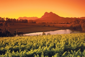 Kapstadt Wein-Tour (Paarl, Stellenbosch & Franschhoek)