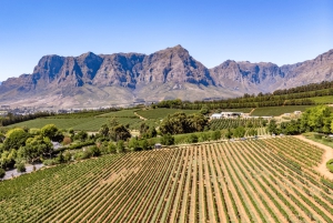 Kapstadt Wein-Tour (Paarl, Stellenbosch & Franschhoek)