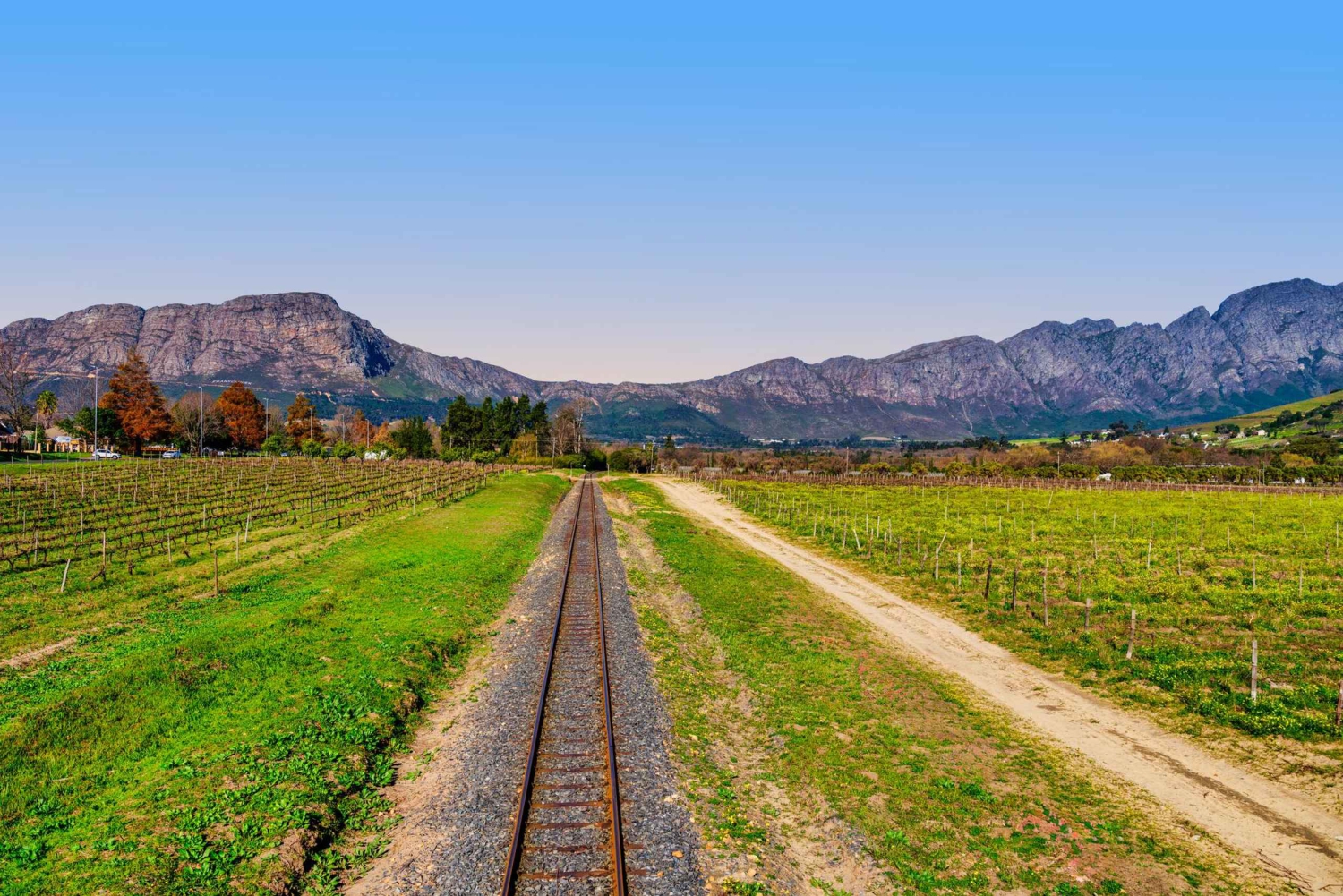 Le Cap : Tram du Vin et Visite des Vignobles avec Dégustations et Prise en Charge