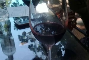 Depuis Le Cap : tramway du vin et safari à Stellenbosch