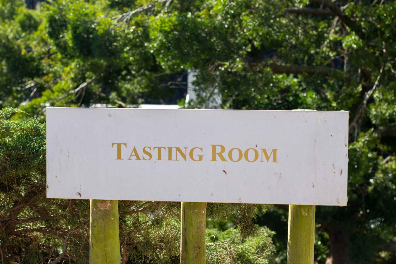 Stellenbosch & Franschhoek Wine Tasting Tour