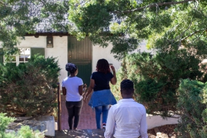 Stellenbosch & Franschhoek Wine Tasting Tour