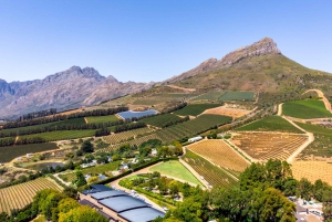 Safari og vinsmaking i Cape Town