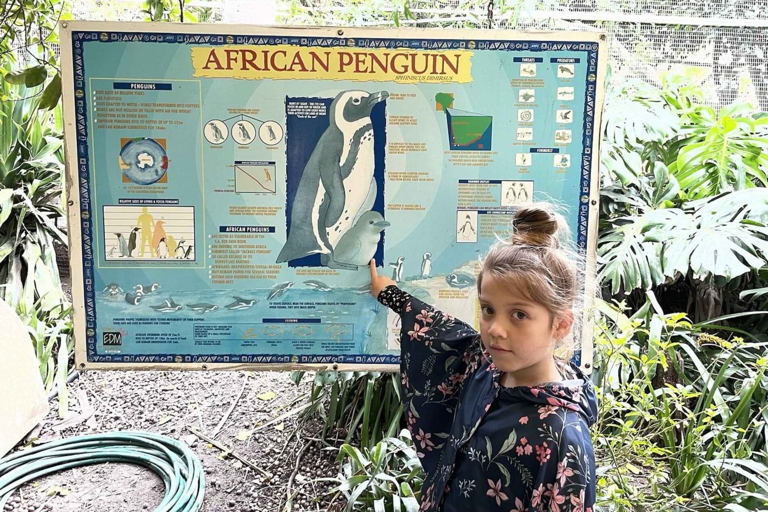 Cape Town: World of Birds & Animal Sanctuary