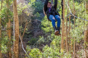 Kapsztad: przygoda na tyrolce (z odbiorem i dowozem z hotelu)