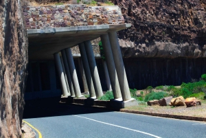 Kapkaupungin parhaat: Cape Point & Boulders Beach -ryhmäretki