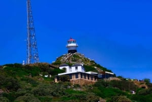 Kapkaupungin parhaat: Cape Point & Boulders Beach -ryhmäretki