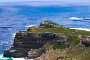 Kapkaupungin parhaat: Cape Point & Boulders Beach -ryhmäretki