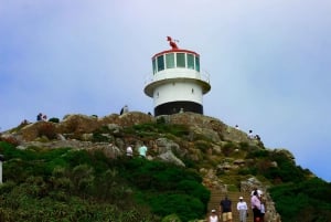Kapkaupungin parhaat: Cape Point & Boulders Beach -ryhmäretki
