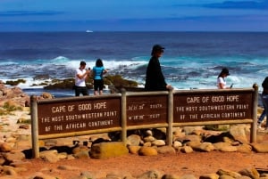 Kapkaupungin parhaat: Cape Point & Boulders Beach -ryhmäretki
