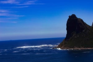 Лучшее в Кейптауне: групповая экскурсия по Кейп-Пойнту и пляжу Боулдерс