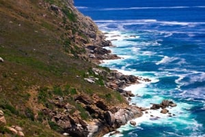 Лучшее в Кейптауне: групповая экскурсия по Кейп-Пойнту и пляжу Боулдерс