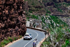Лучшее в Кейптауне: групповая экскурсия по Кейп-Пойнту и пляжу Боулдерс