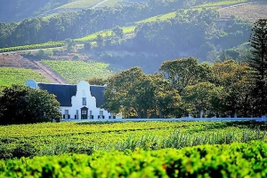 Cidade do Cabo: degustação de vinhos, casa da girafa e encontro com chitas