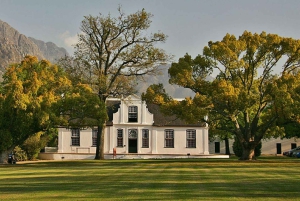 Cape Wineland : 3 vignobles primés