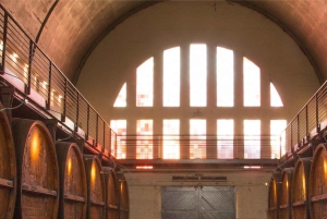 Cape Wineland : 3 vignobles primés