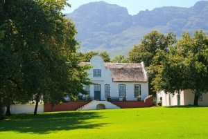 From Cape Town: South African Wine Tasting Day Tour