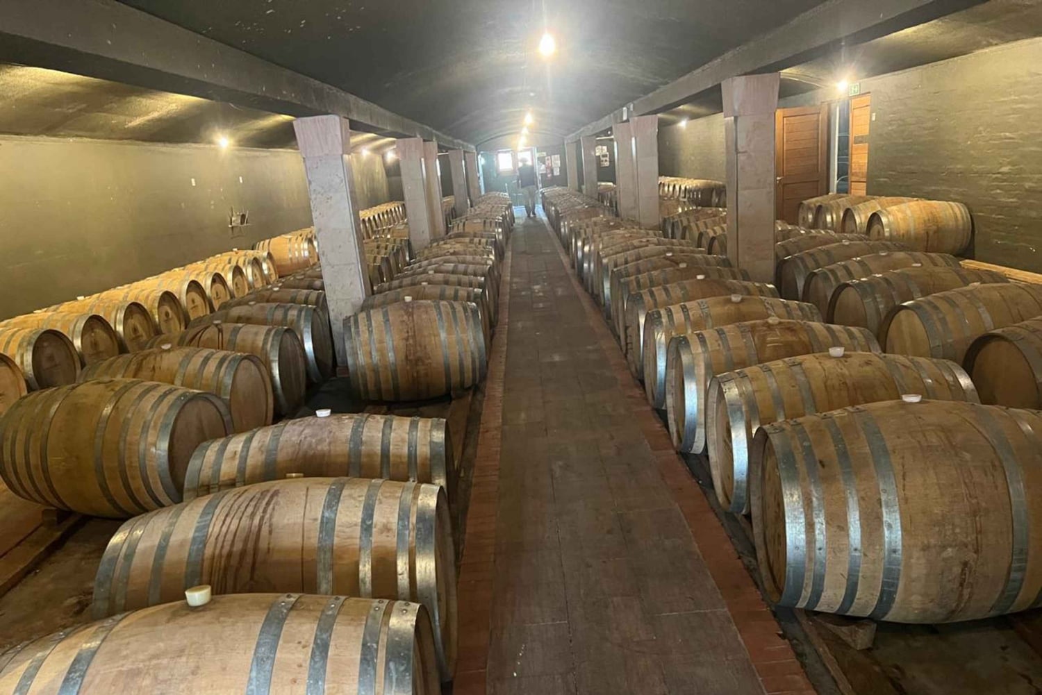 Cape Winelands Experience: Paarl, Stellenbosch och Franschhoek