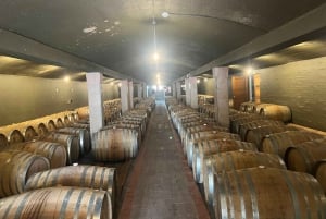 Cape Winelands Experience: Paarl, Stellenbosch och Franschhoek