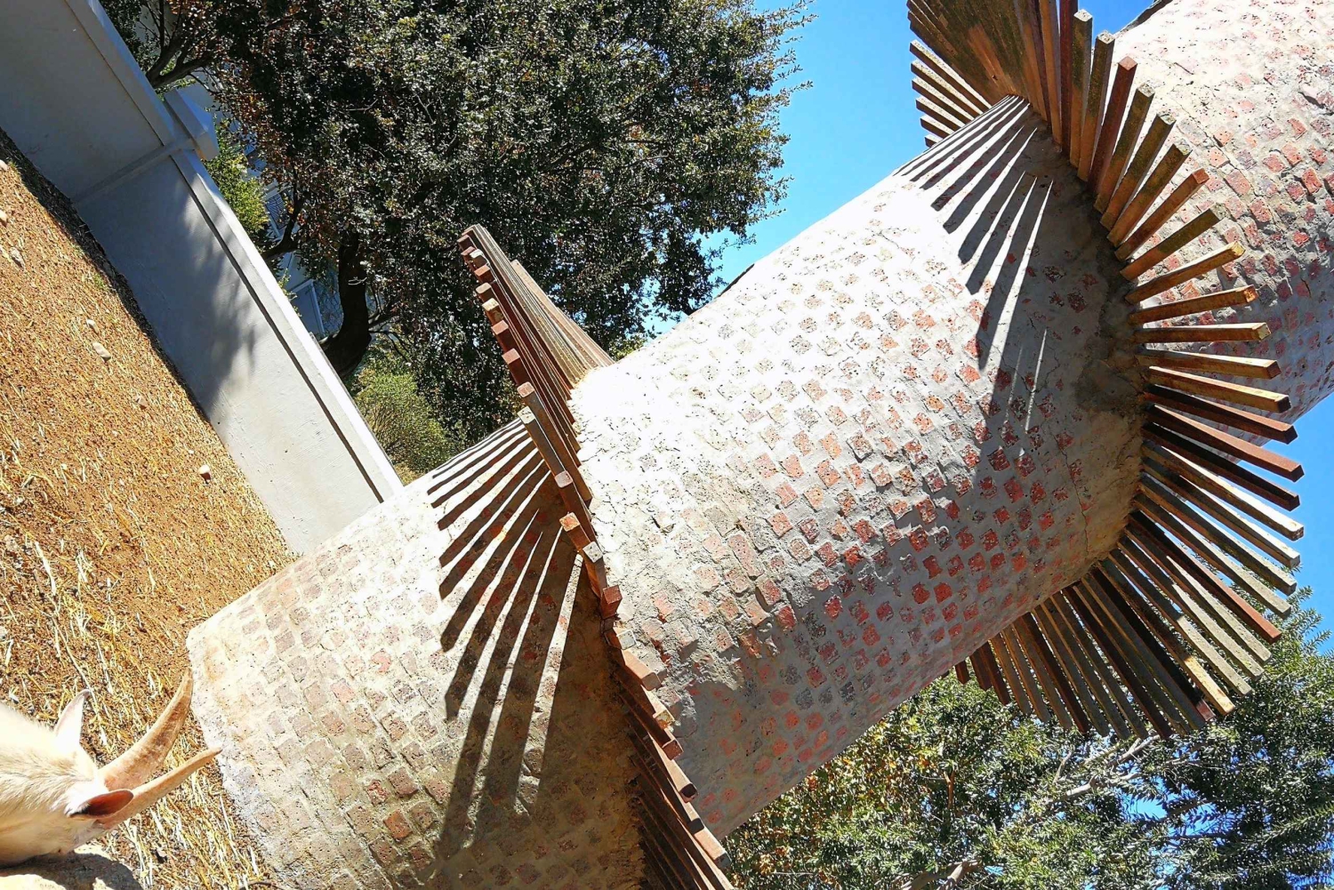 ケープ ワインランズ ファミリー ツアー & 野生動物との出会い