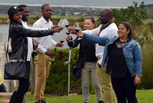  Cape Winelands Full-Day Shared Tour