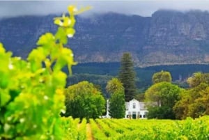 Cape Winelands halvdagstur fra Cape Town