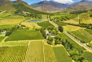 Kaapse Wijnlanden Halfdaagse Tour vanuit Kaapstad