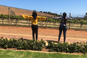 Von Kapstadt aus: Stellenbosch & Franschhoek Weinverkostungstour